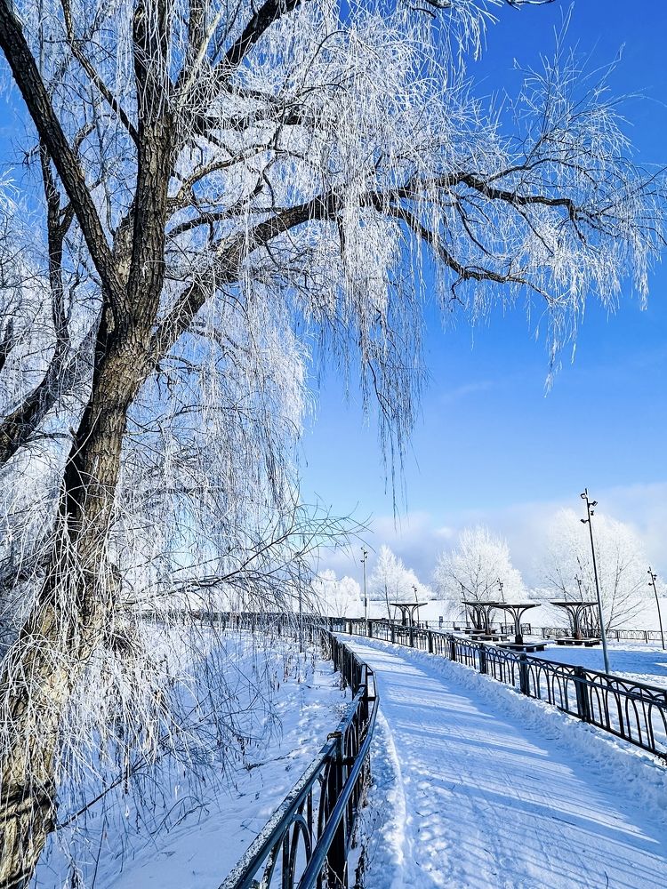 Photograph by Татьяна Галаева