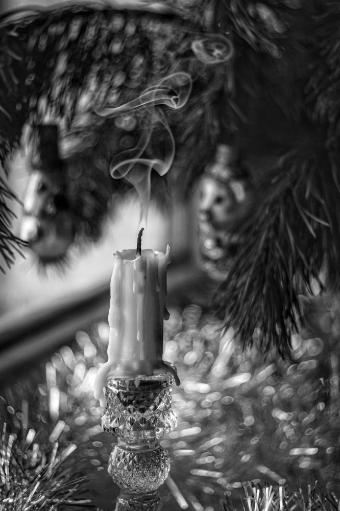 Photograph by Magic Helios