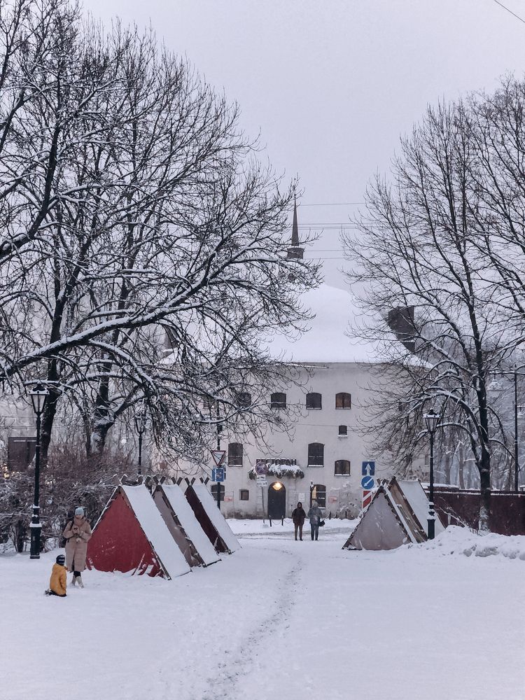 Photograph by Inna Iudina