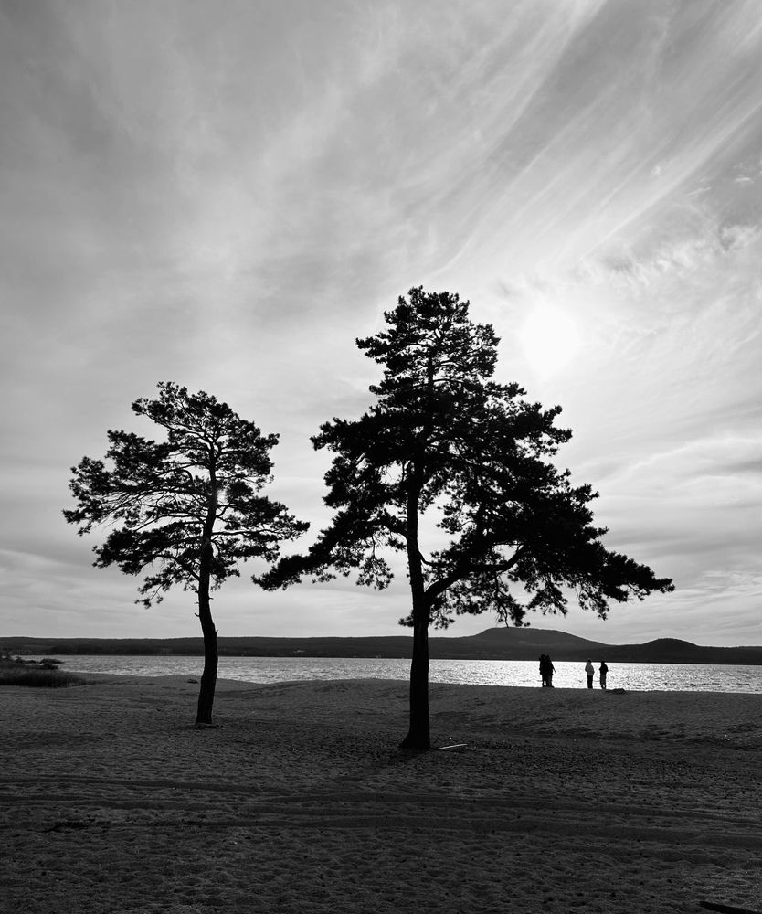 Photograph by Амирова Анар