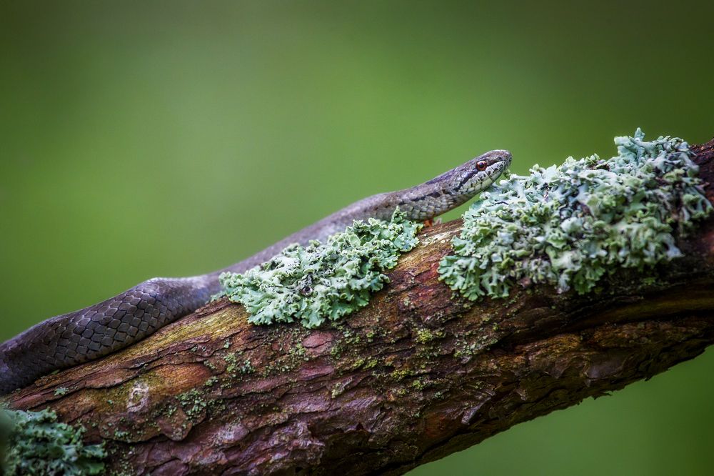 Photograph by Дмитрий Черепков