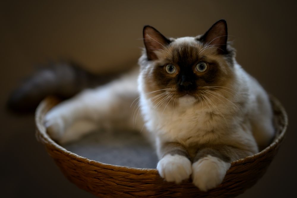 Photograph by Son Truong