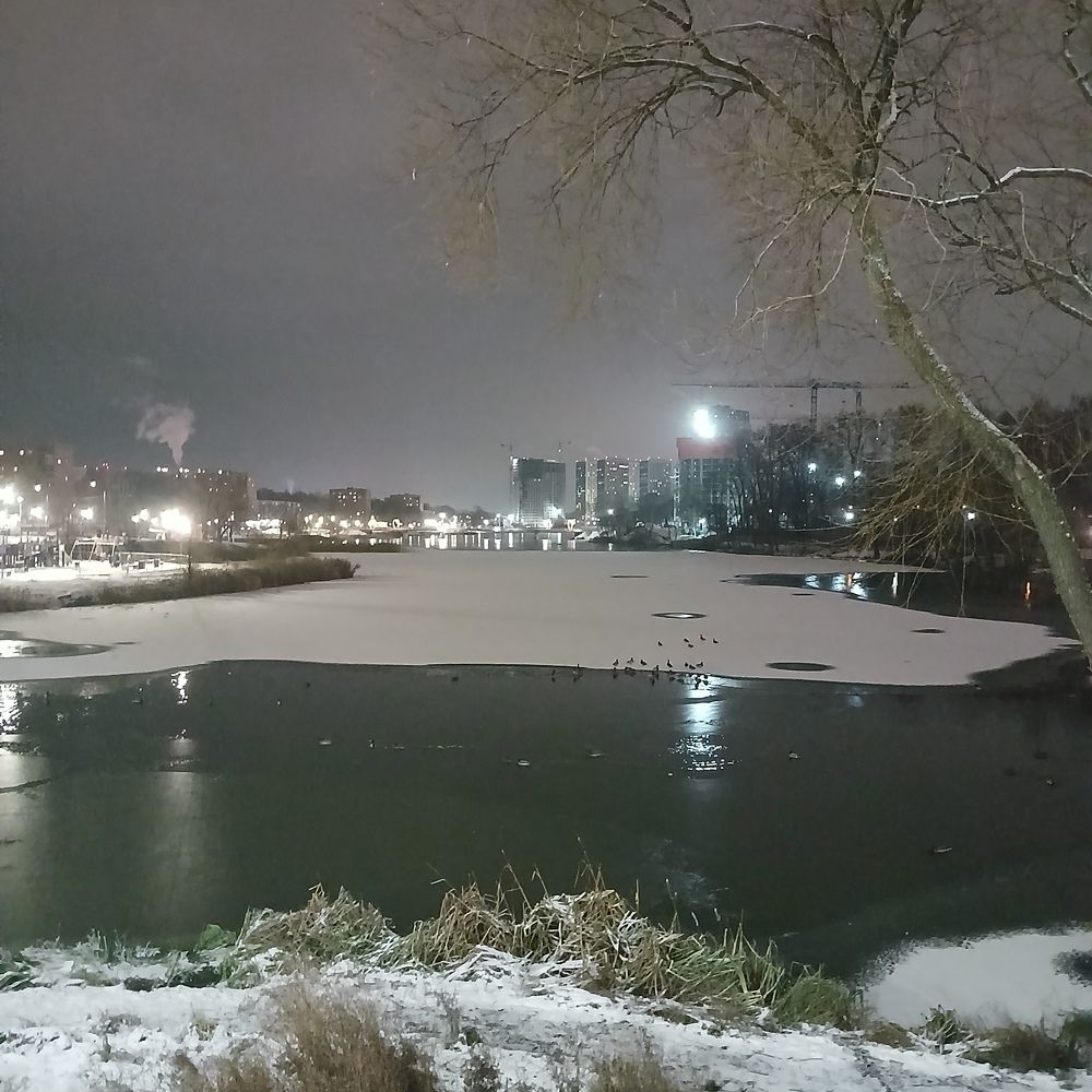 Фотография автора Мария Боровикова