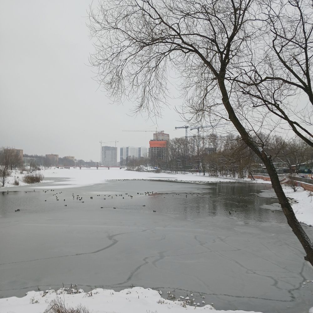 Фотография автора Мария Боровикова