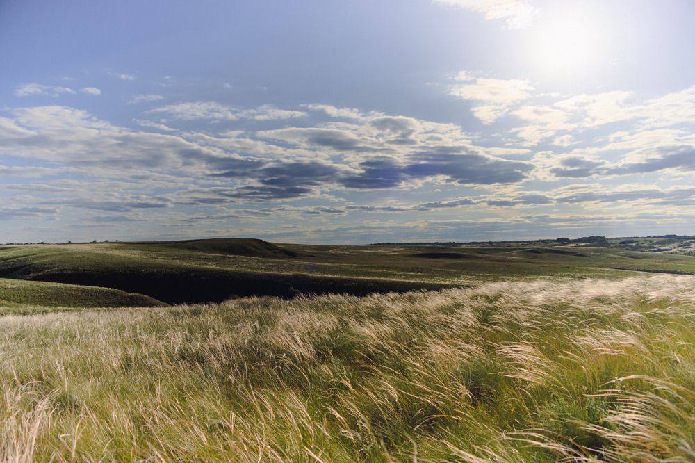 Photograph by Алексей Савенков