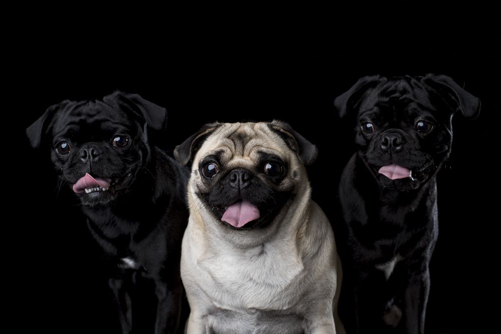 Photograph by Sarti Camilo