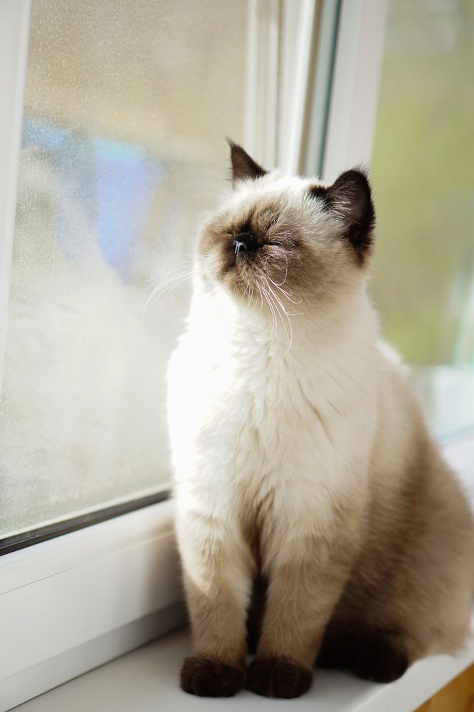 Photograph by Ольга Иванова