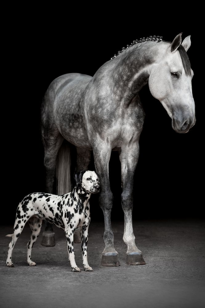 Photograph by Camilla Cintra