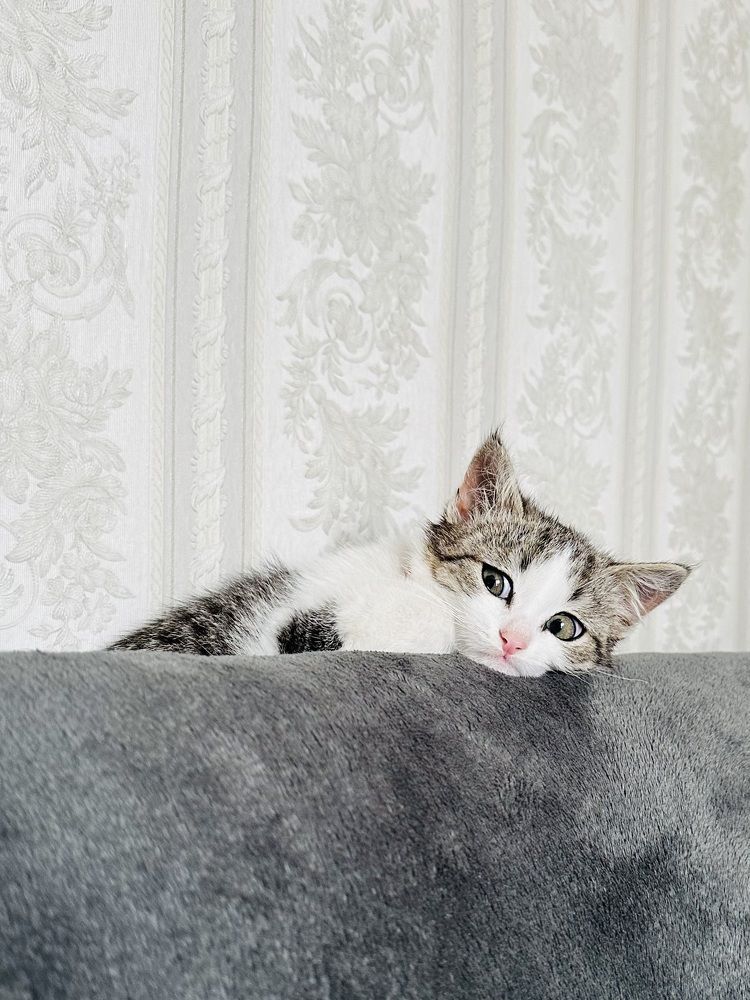 Photograph by Татьяна Галаева