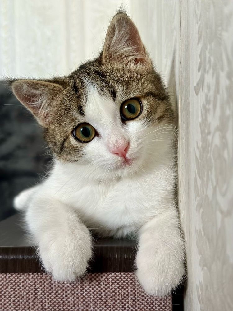 Photograph by Татьяна Галаева