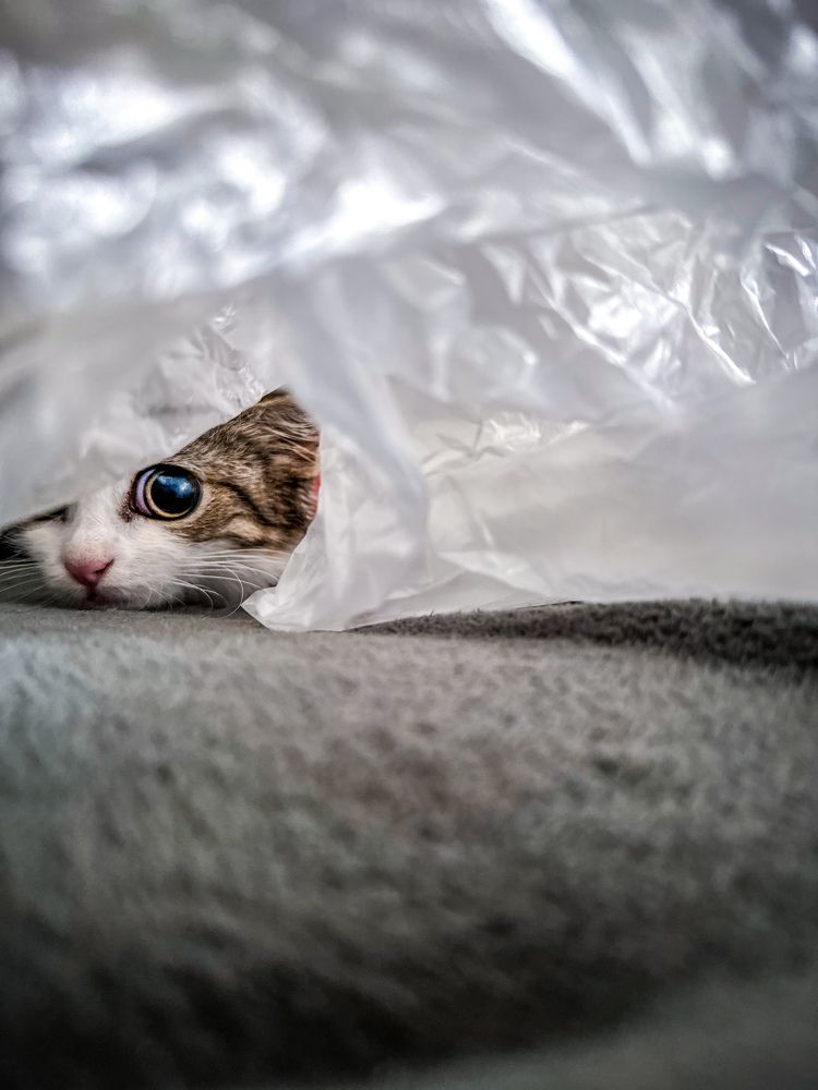 Photograph by Татьяна Галаева