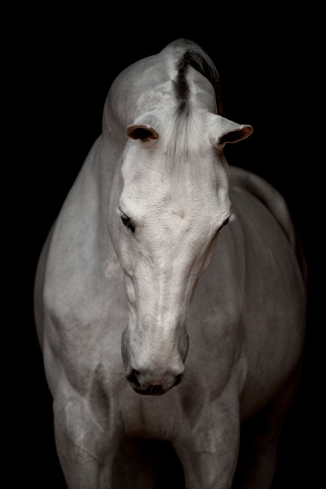 Фотография автора Camilla Cintra