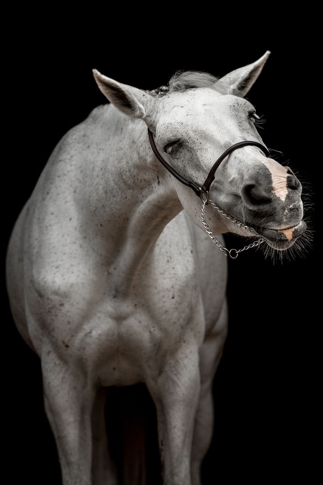 Фотография автора Camilla Cintra