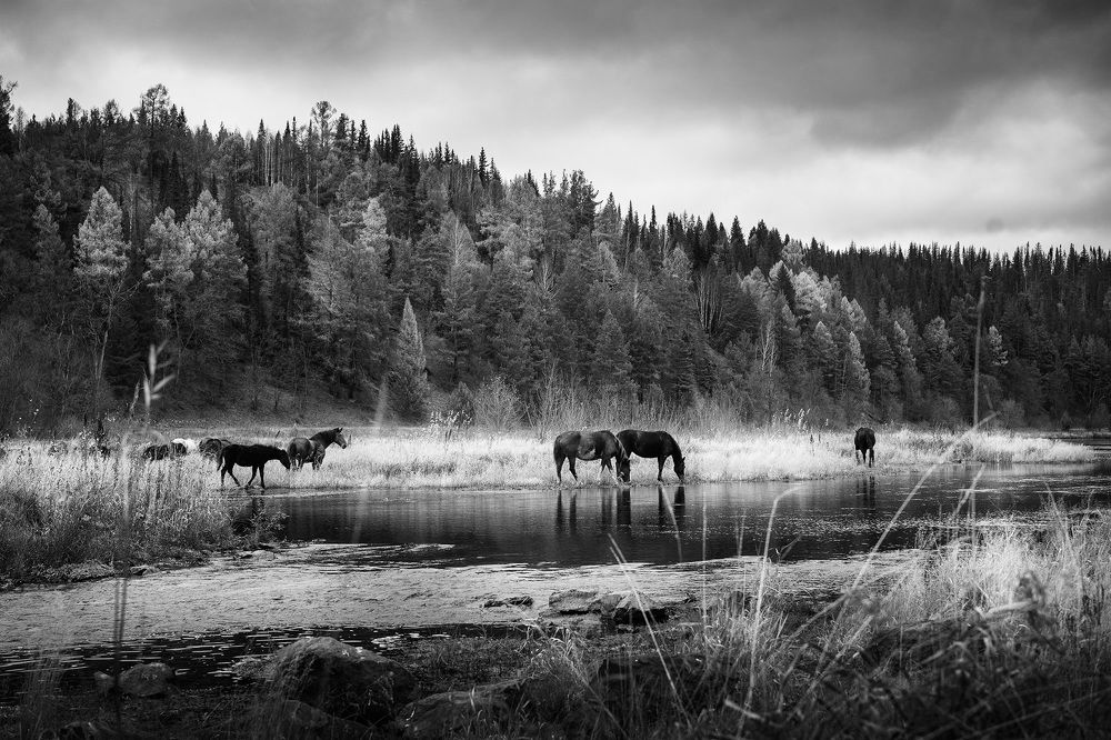 Photograph by Наталья Горохова