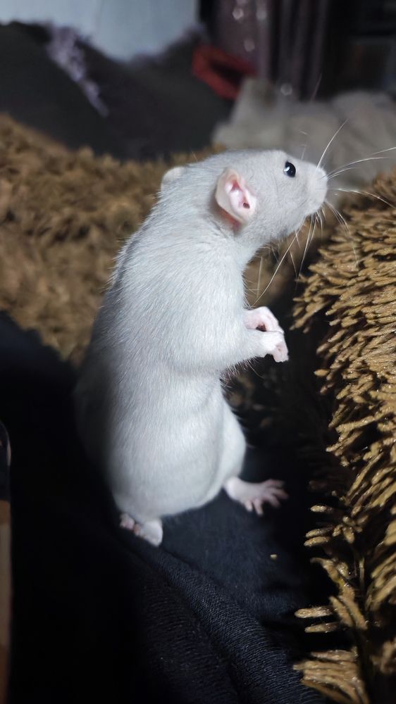 Photograph by Анна Курлова