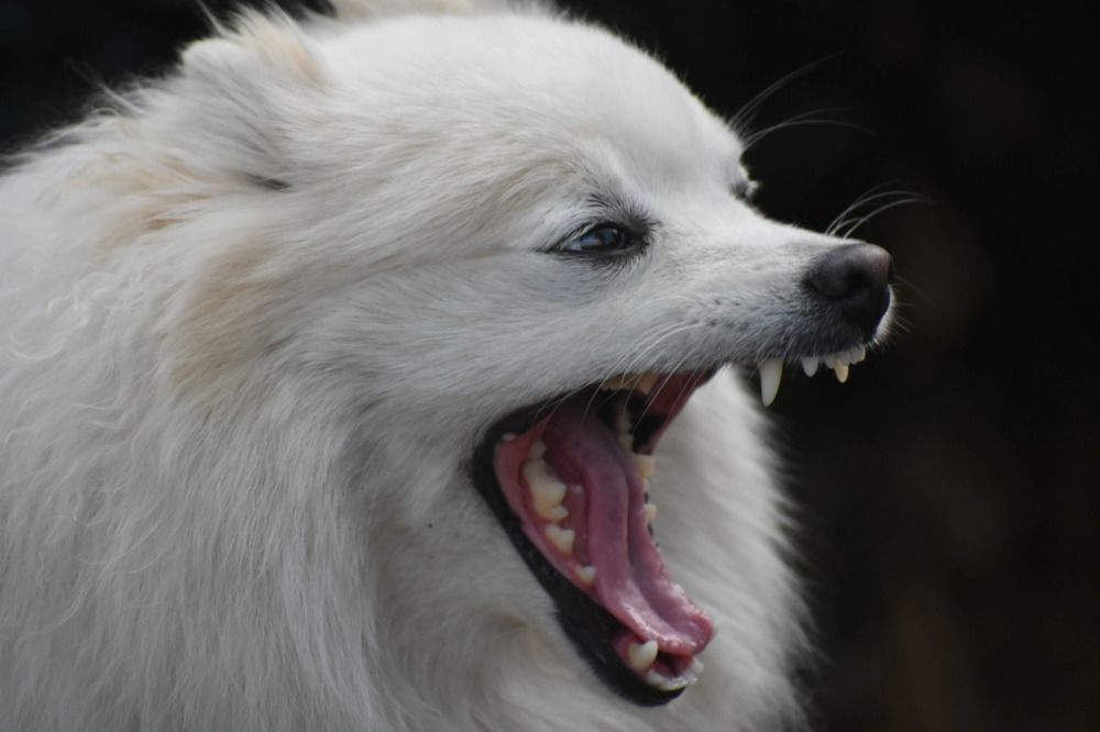 Photograph by Валерия Ковалева