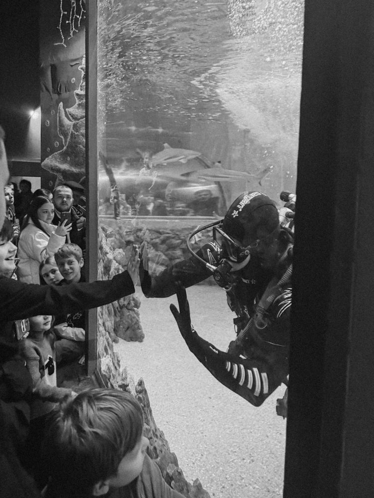 Photograph by Анастасия Антонова