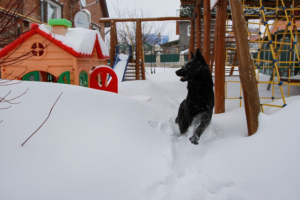 Photograph by Светлана Карнаух