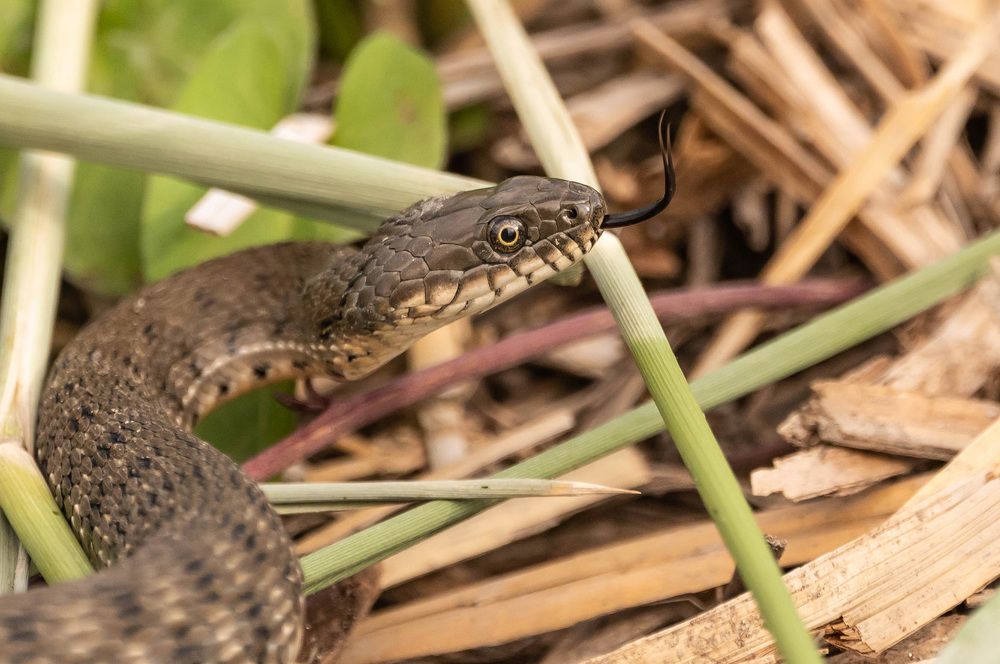 Photograph by Александр Щербаков