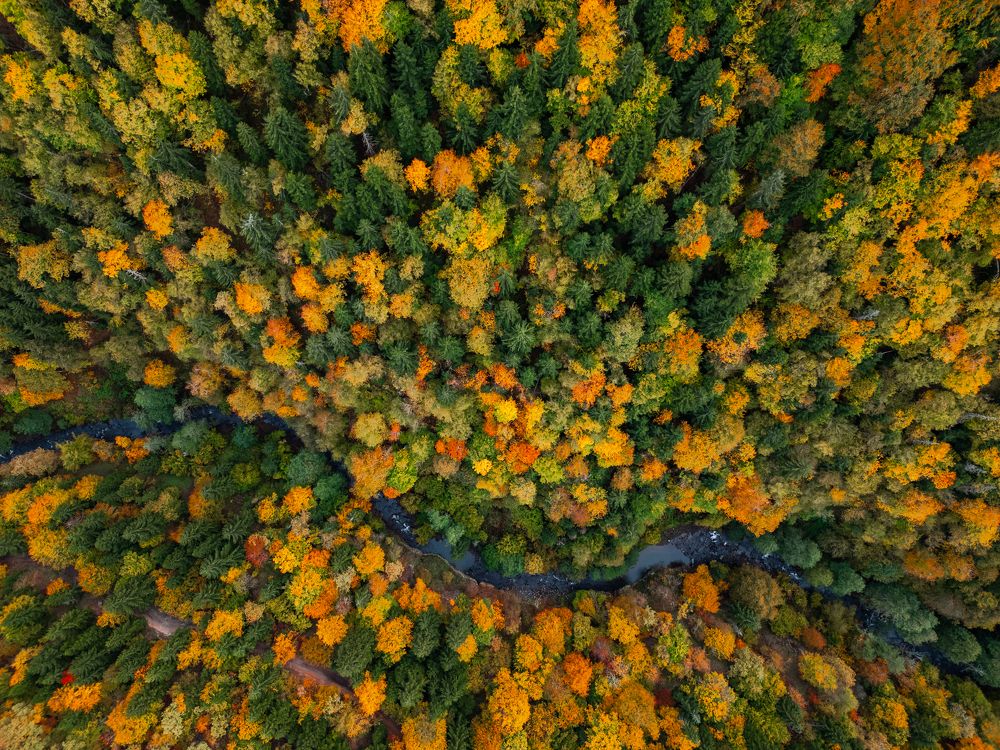 Photograph by Alexey Nikitin