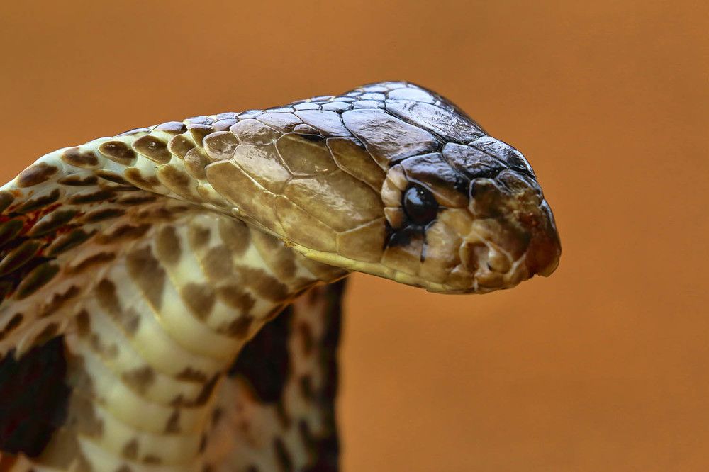 Photograph by Михаил Баевский