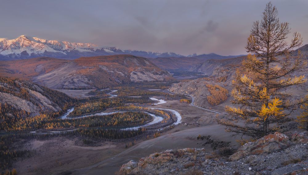 Фотография автора Галина Дейнекина