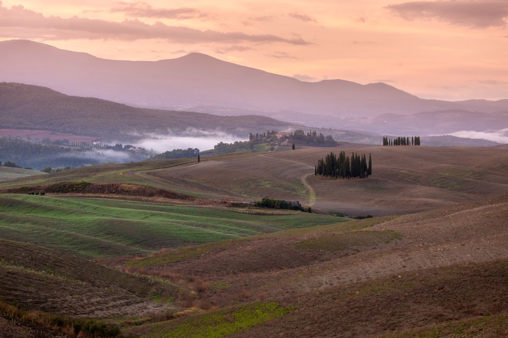 Photograph by Геннадий