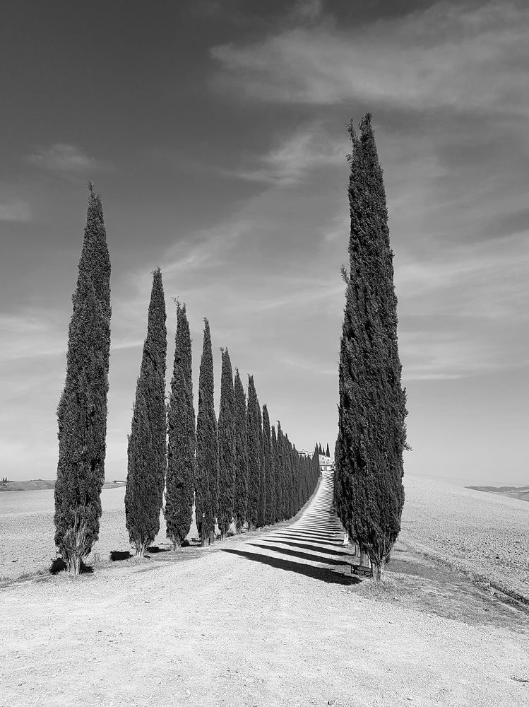 Photograph by Анатолий Бирюков