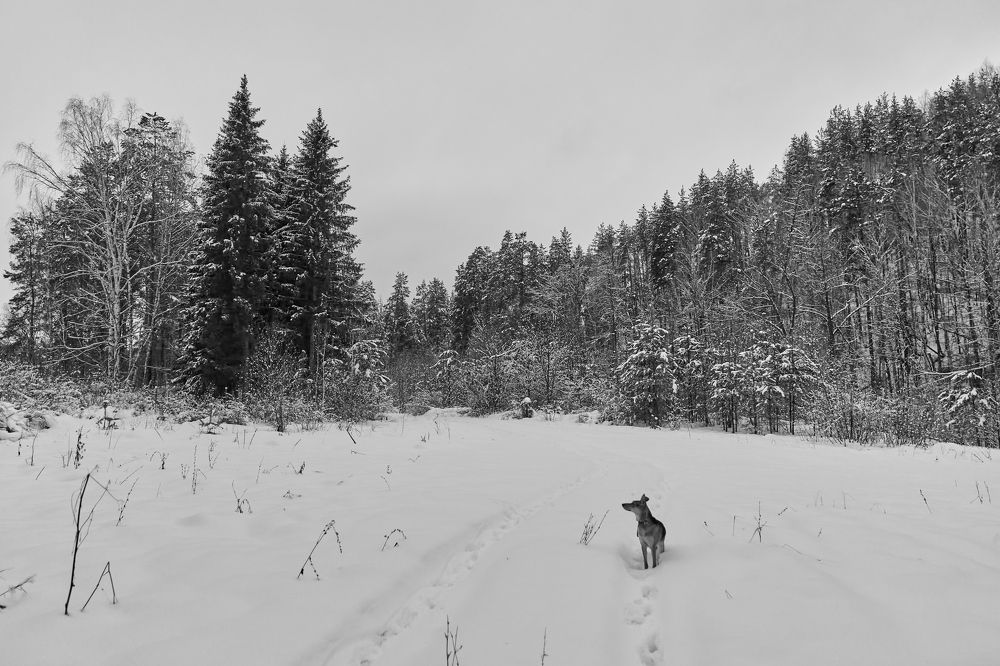 Фотография автора Александр Еремин
