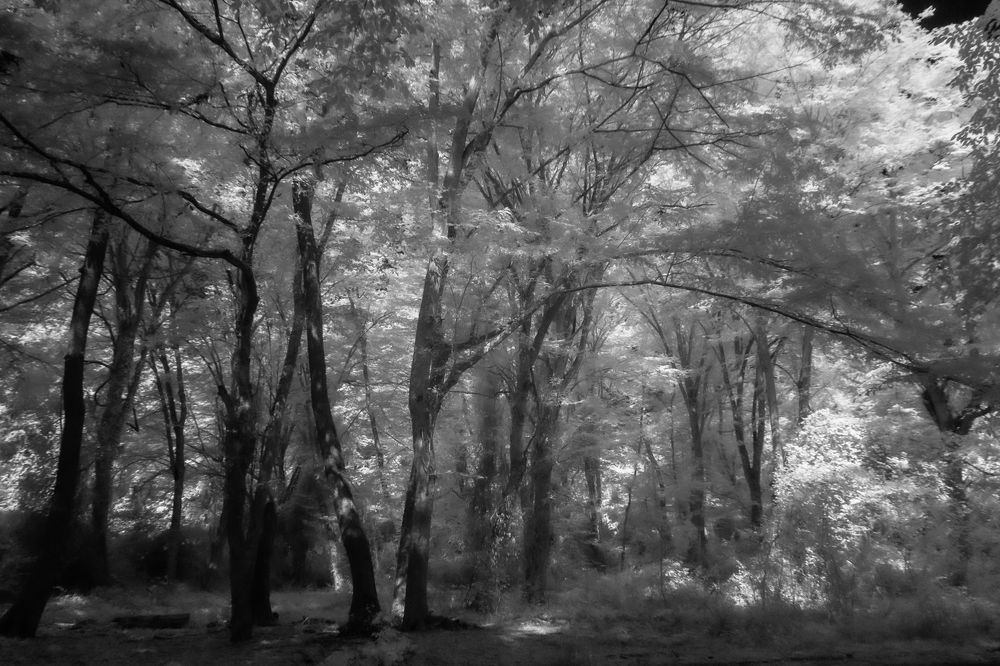 Photograph by Антон Бабичев