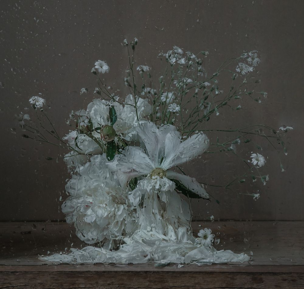 Фотография автора Анна Петина