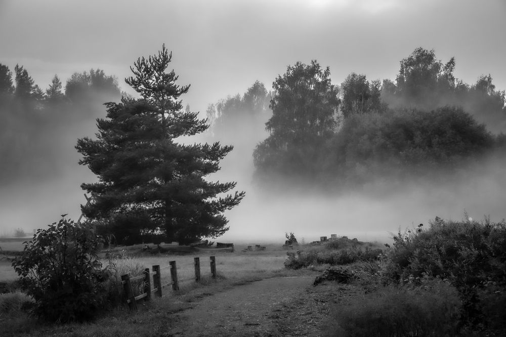 Photograph by Антон Бабичев