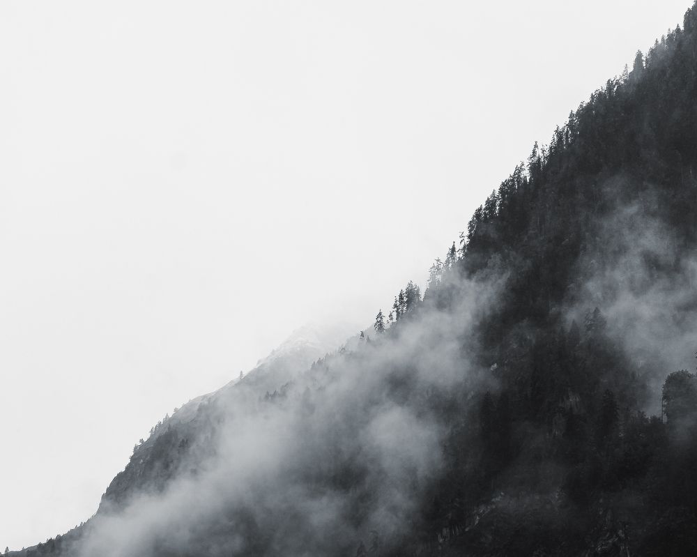 Фотография автора Ankit Gupta