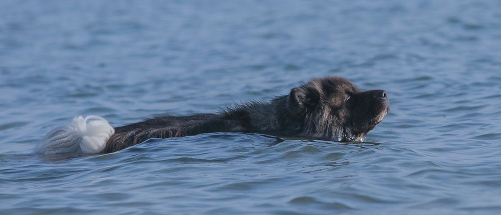 Фотография автора Suzana Svecnjak