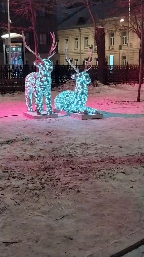 Photograph by Людмила Липаткина