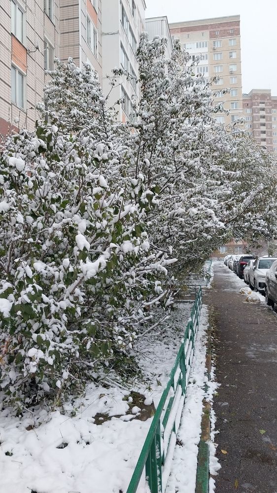 Photograph by Людмила Липаткина