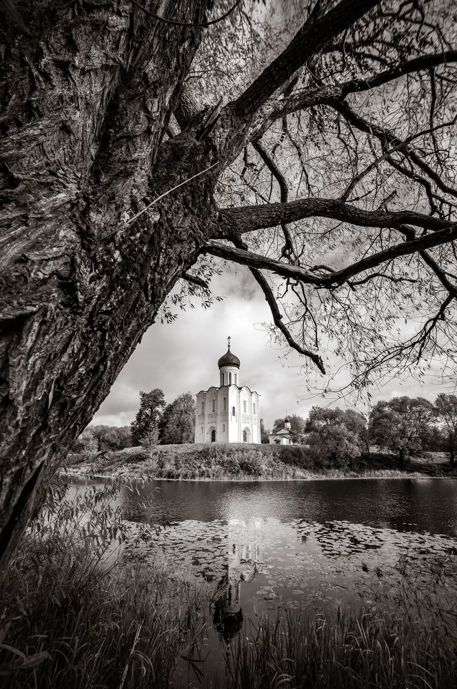 Photograph by Виталий Суслов