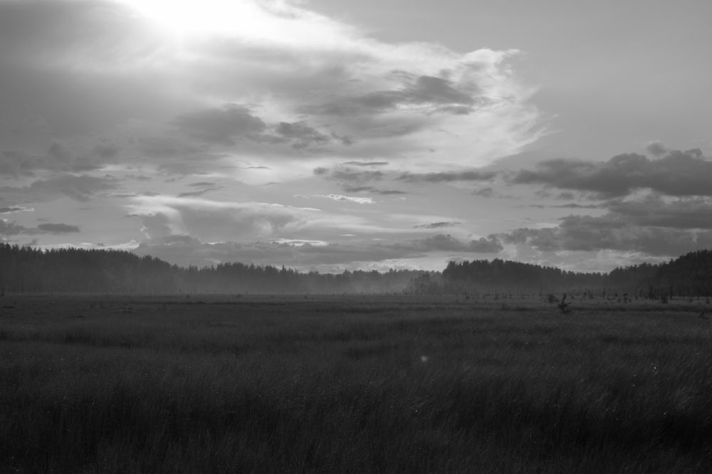 Photograph by Павел Герасимов