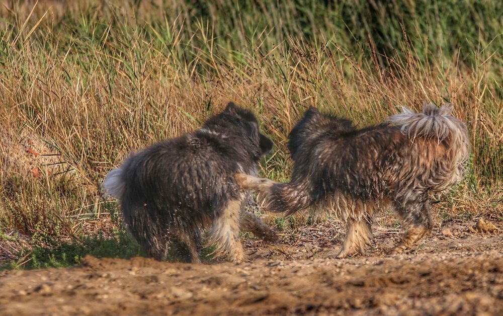 Фотография автора Suzana Svecnjak