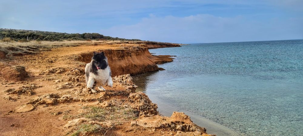 Фотография автора Suzana Svecnjak