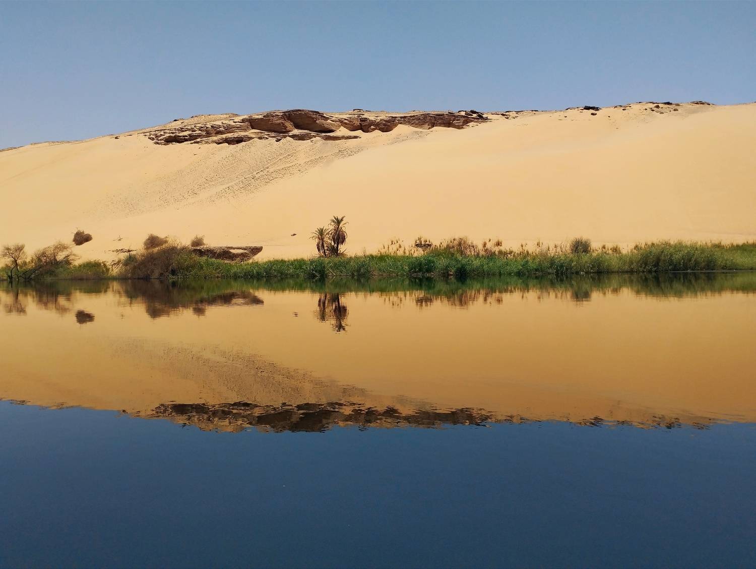 Beautiful reflection