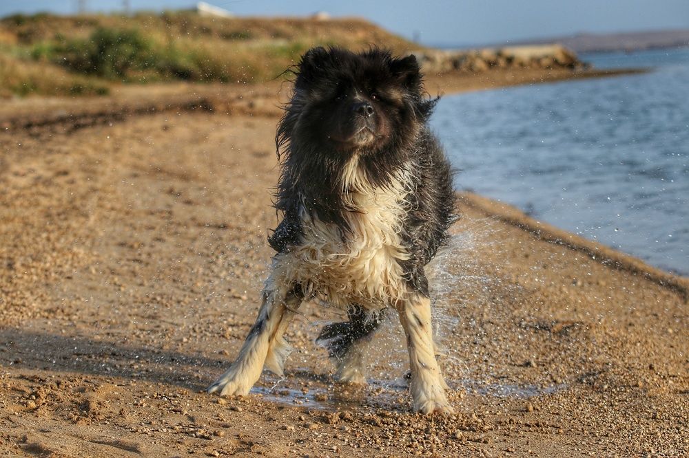 Фотография автора Suzana Svecnjak