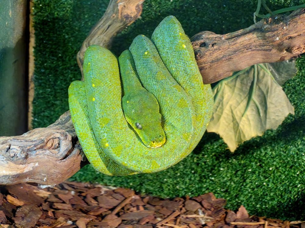 Photograph by Сергей Игнатьев