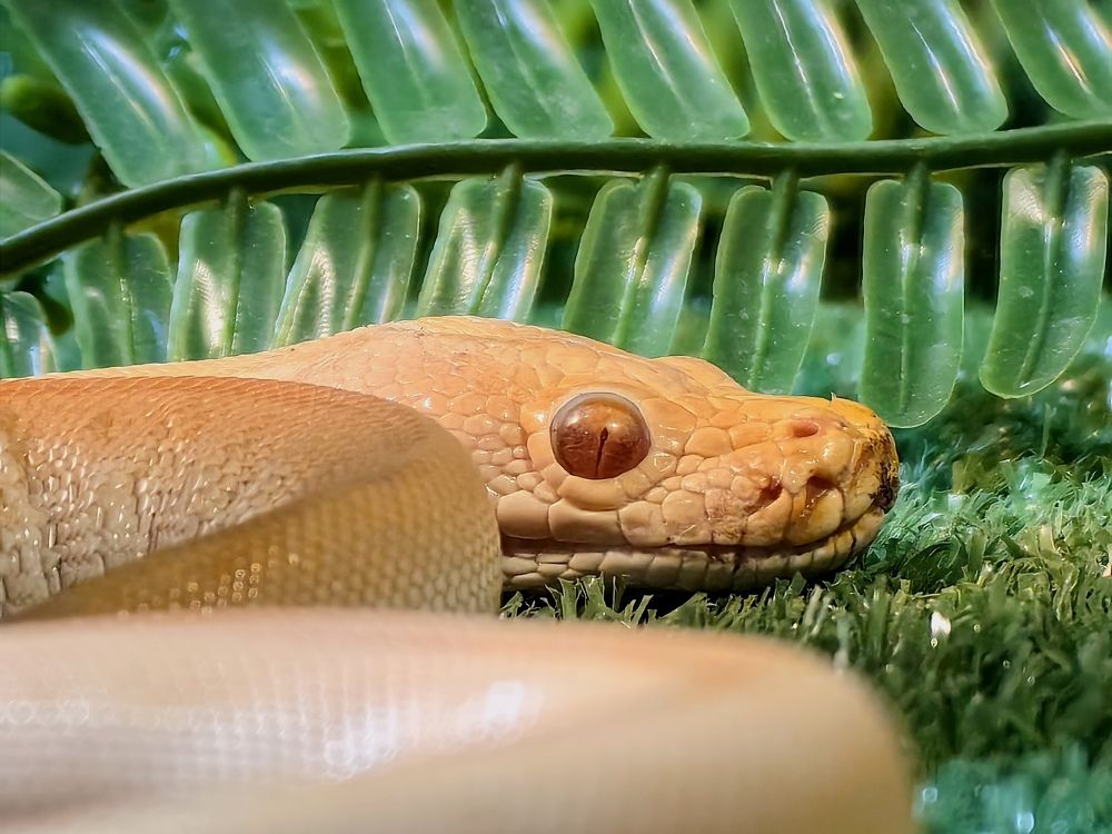 Photograph by Сергей Игнатьев