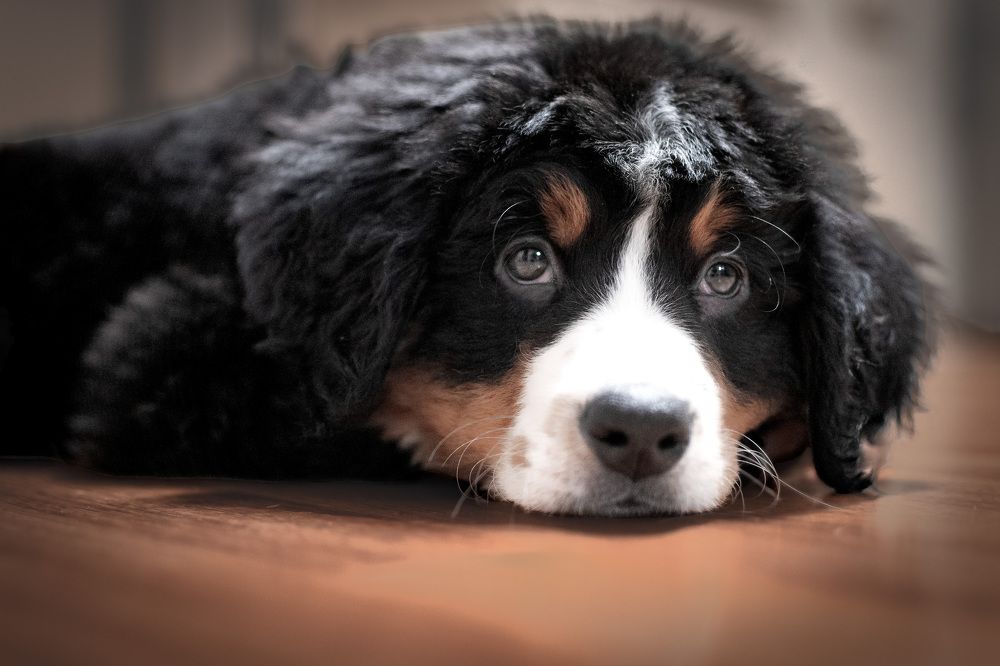 Photograph by Олег Логинов