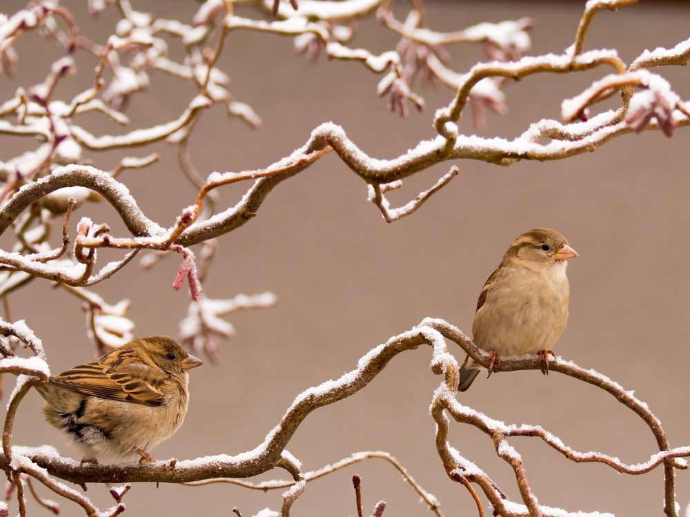 Фотография автора Jaroslav Hanzalík