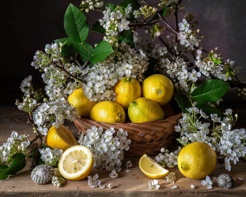 Photograph by Слуцкая Яна