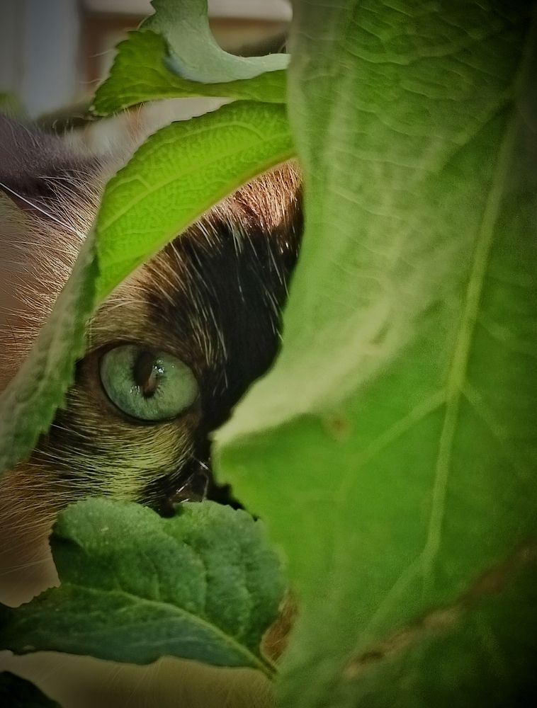 Photograph by Евгения Квятковская