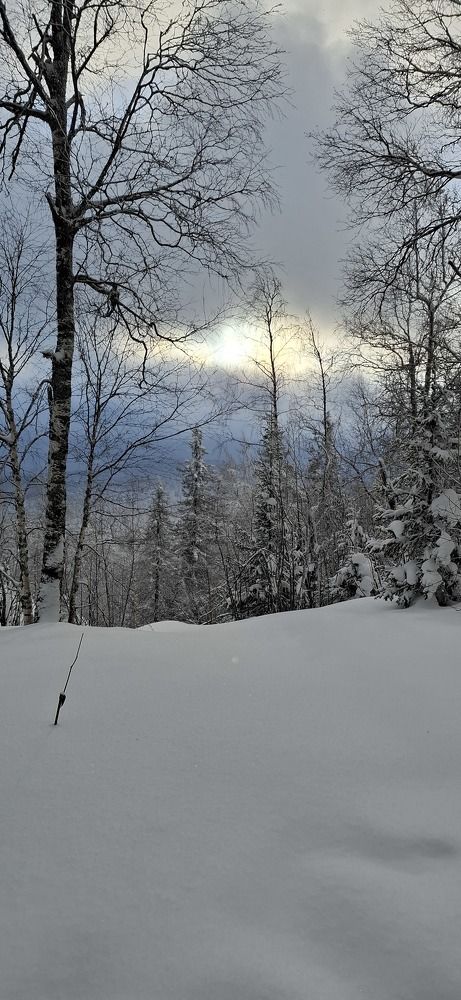 Photograph by Наталья Шулятина