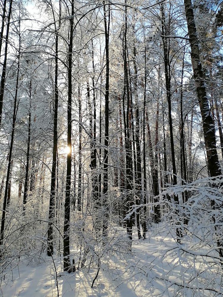 Photograph by Ксения Мельникова